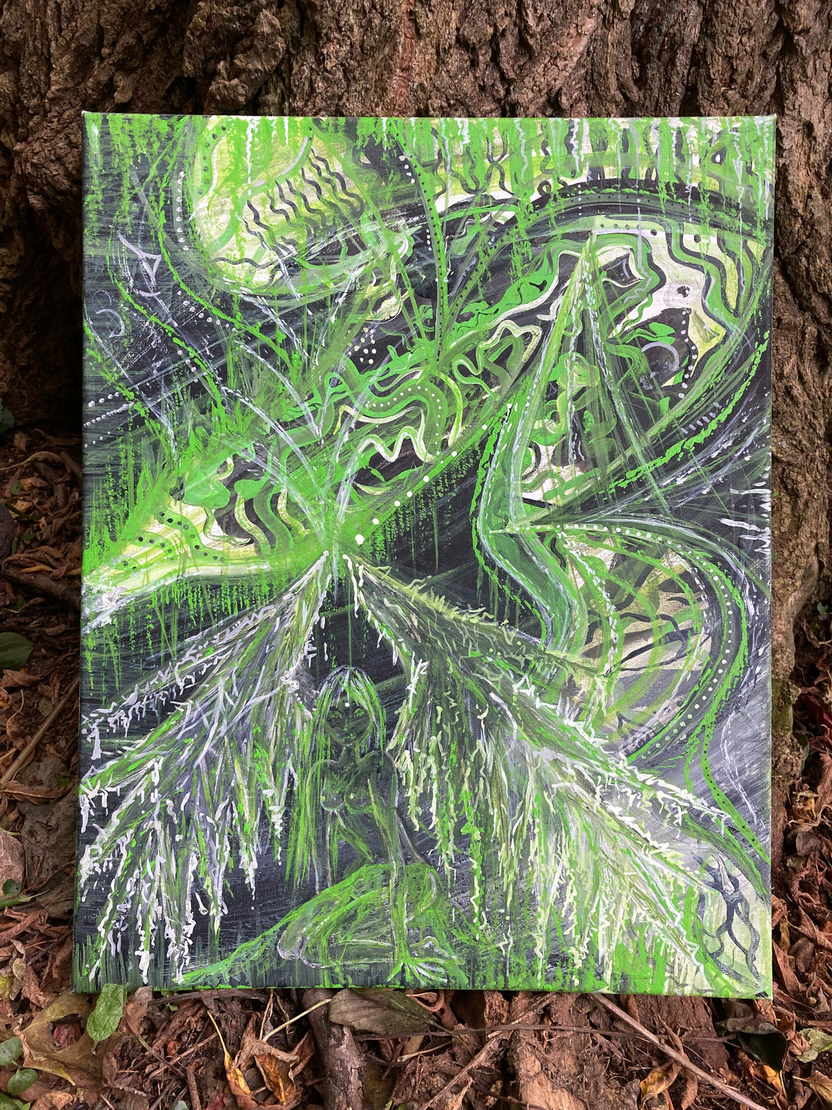 canvases • drawings