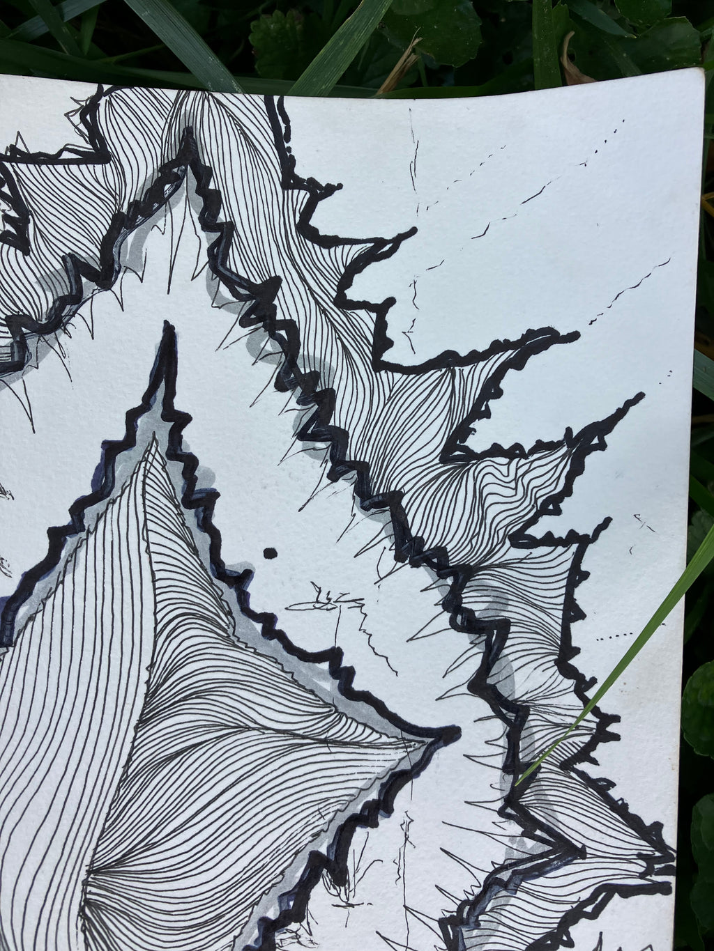ink on paper • 8x10