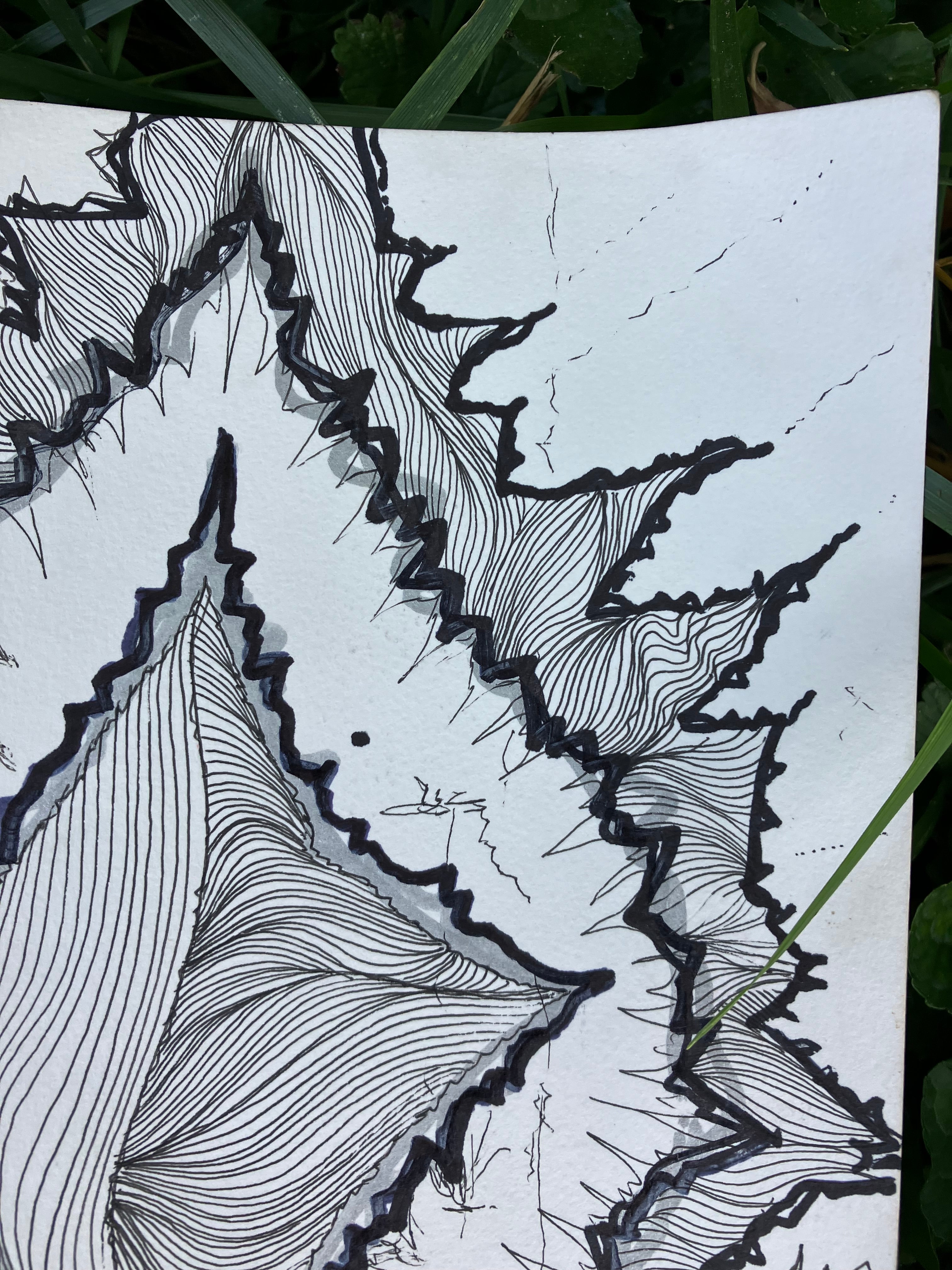 ink on paper • 8x10
