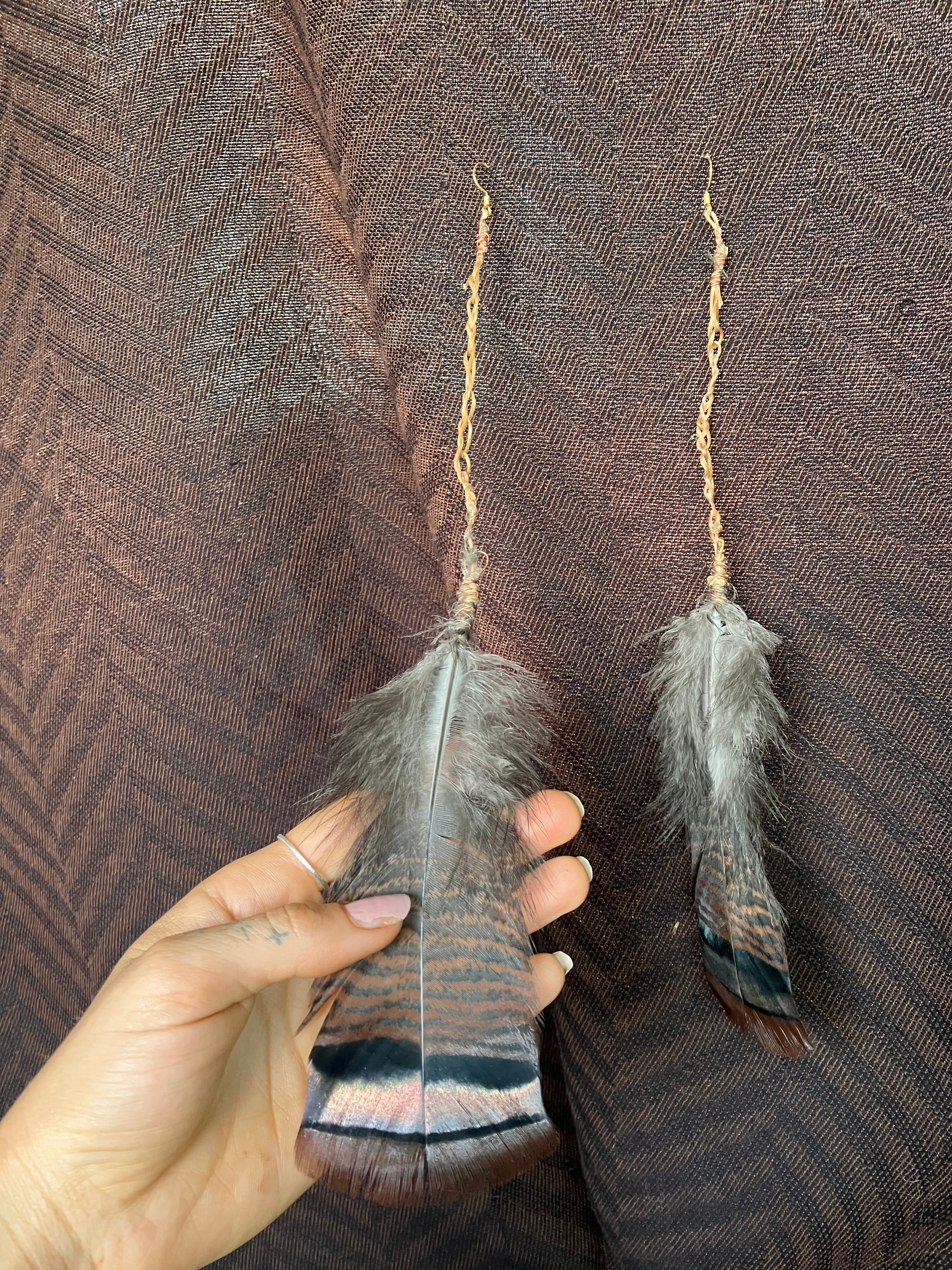 wild male turkey feather earrings