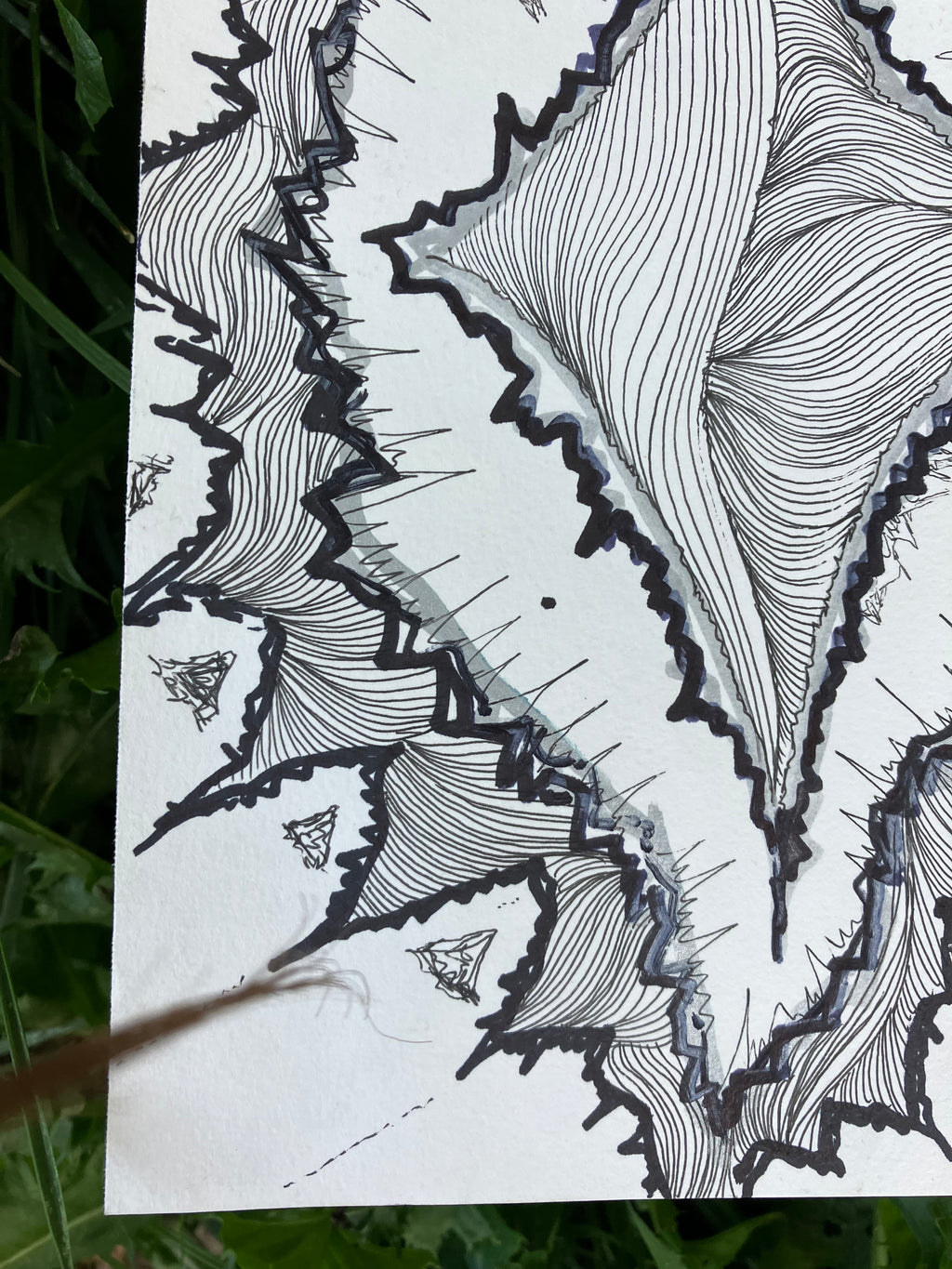 ink on paper • 8x10