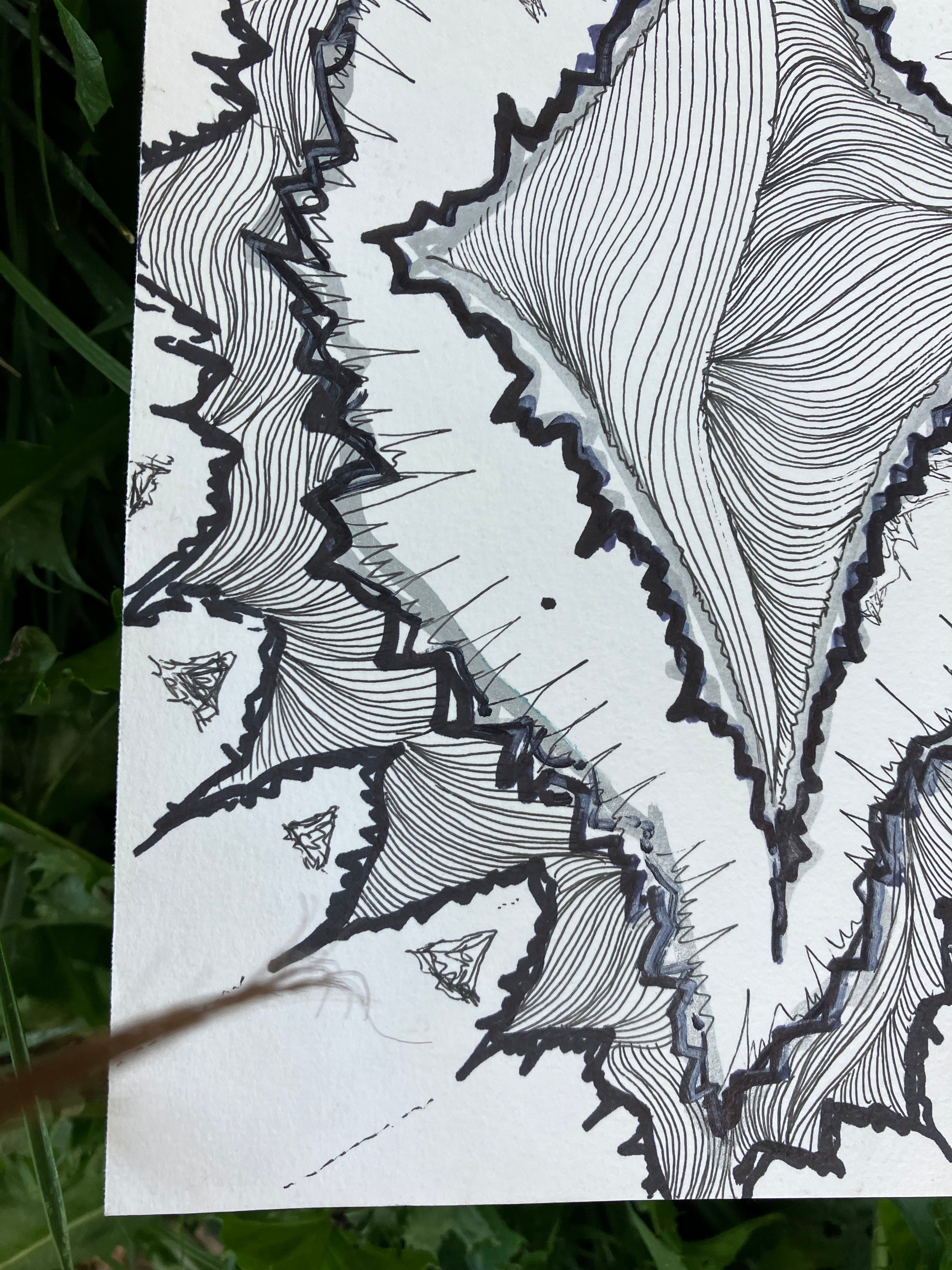 ink on paper • 8x10