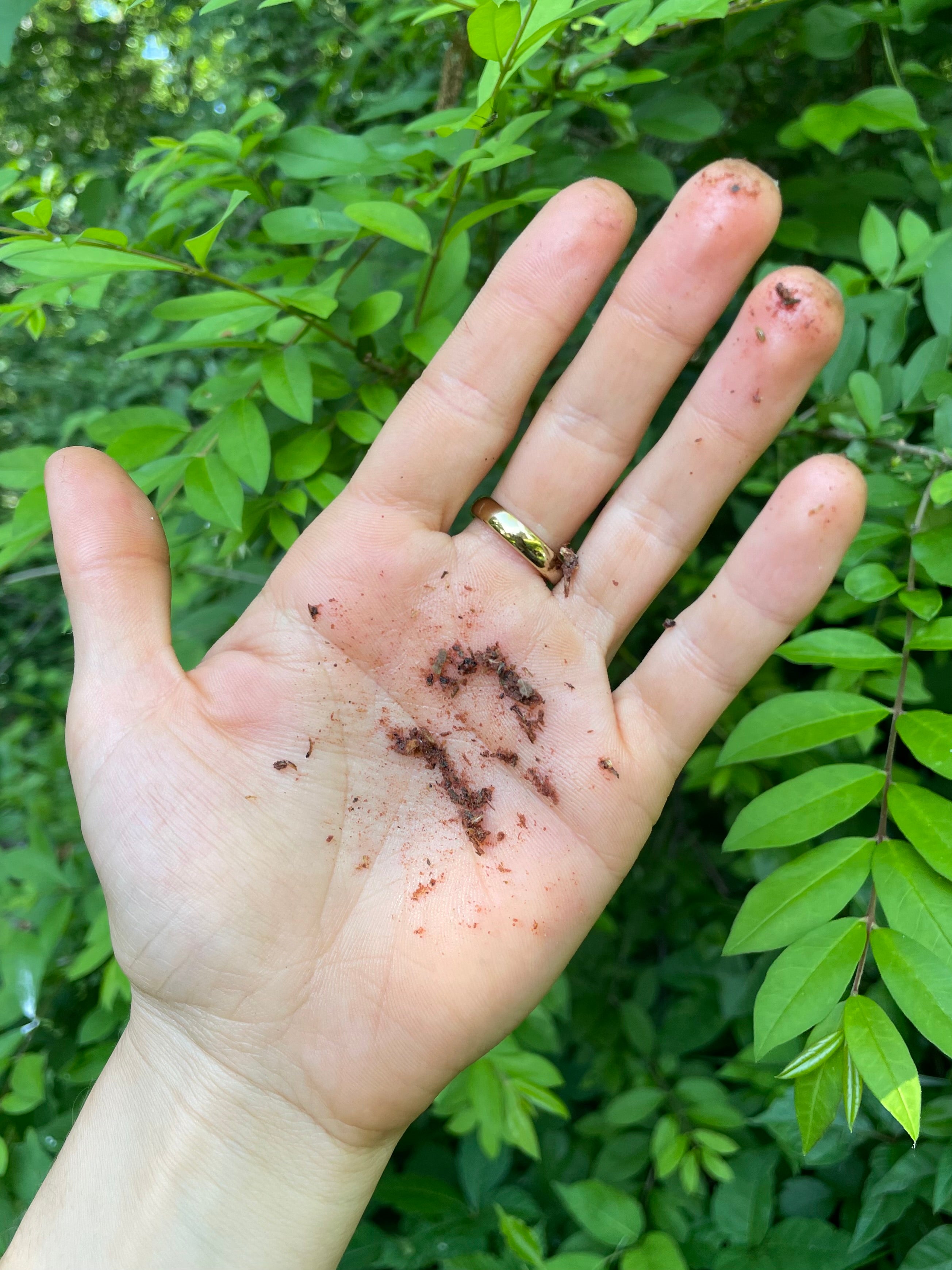 magical sedona red sand, coconut & calendula exfoliant