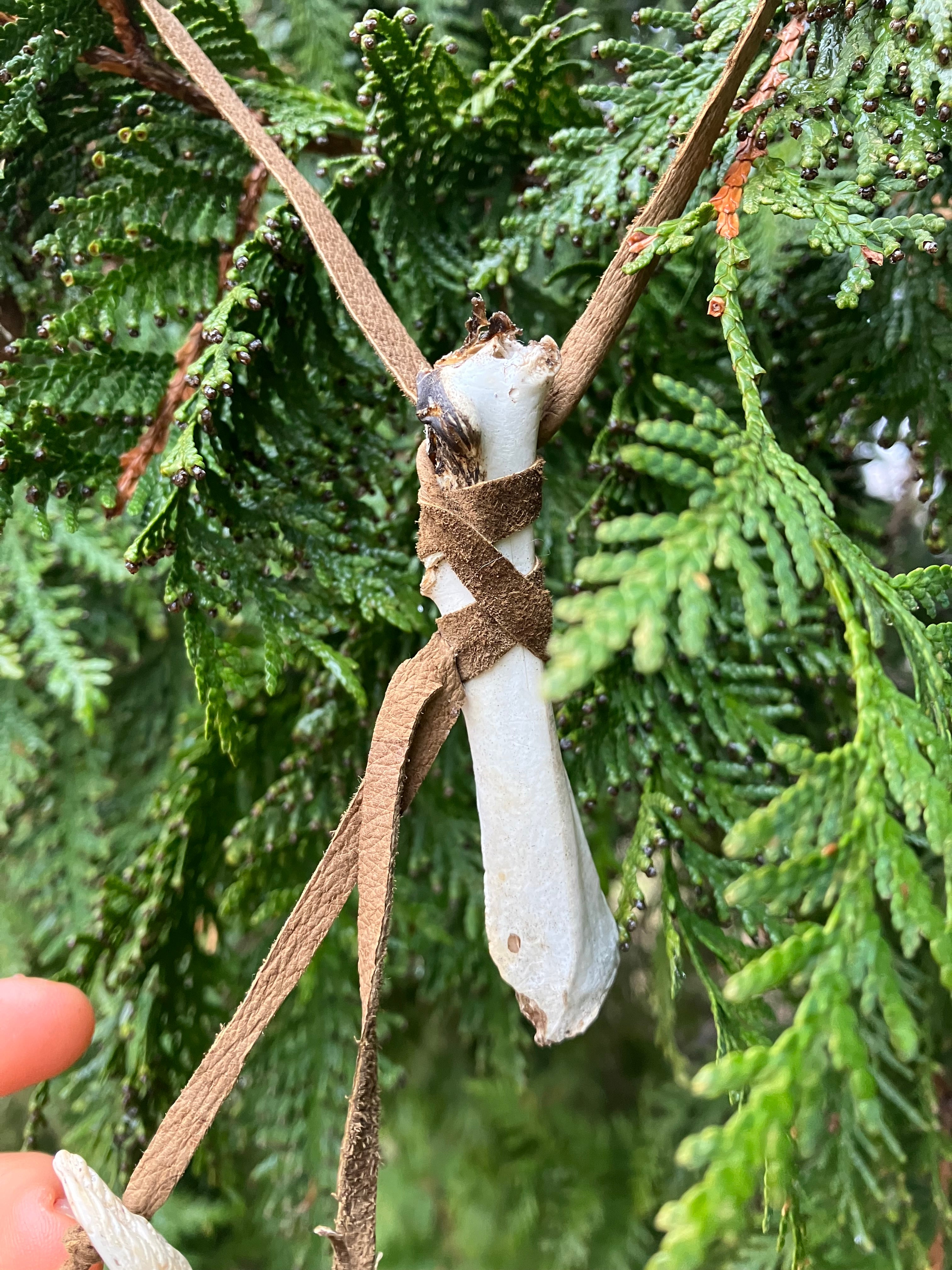 necklace w/ wildcrafted bone, shell & feathers