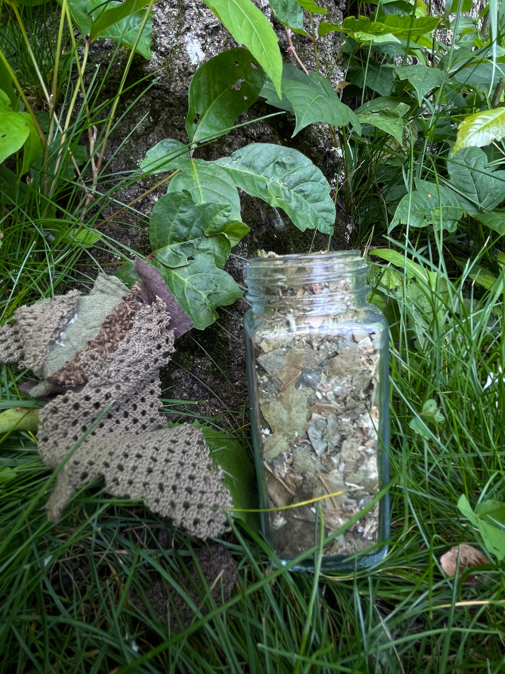 wild foraged tea blend