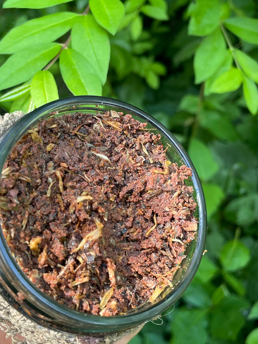 magical sedona red sand, coconut & calendula exfoliant