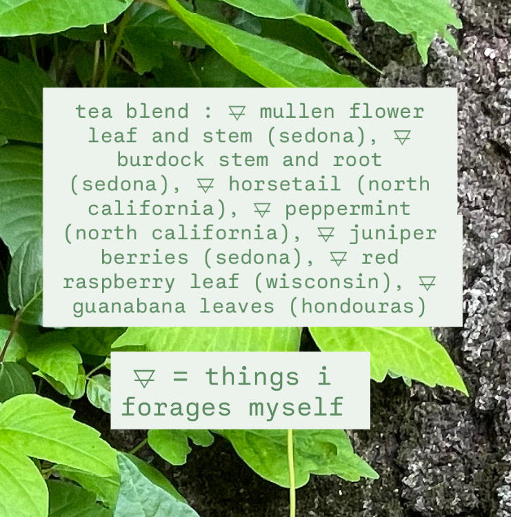 wild foraged tea blend