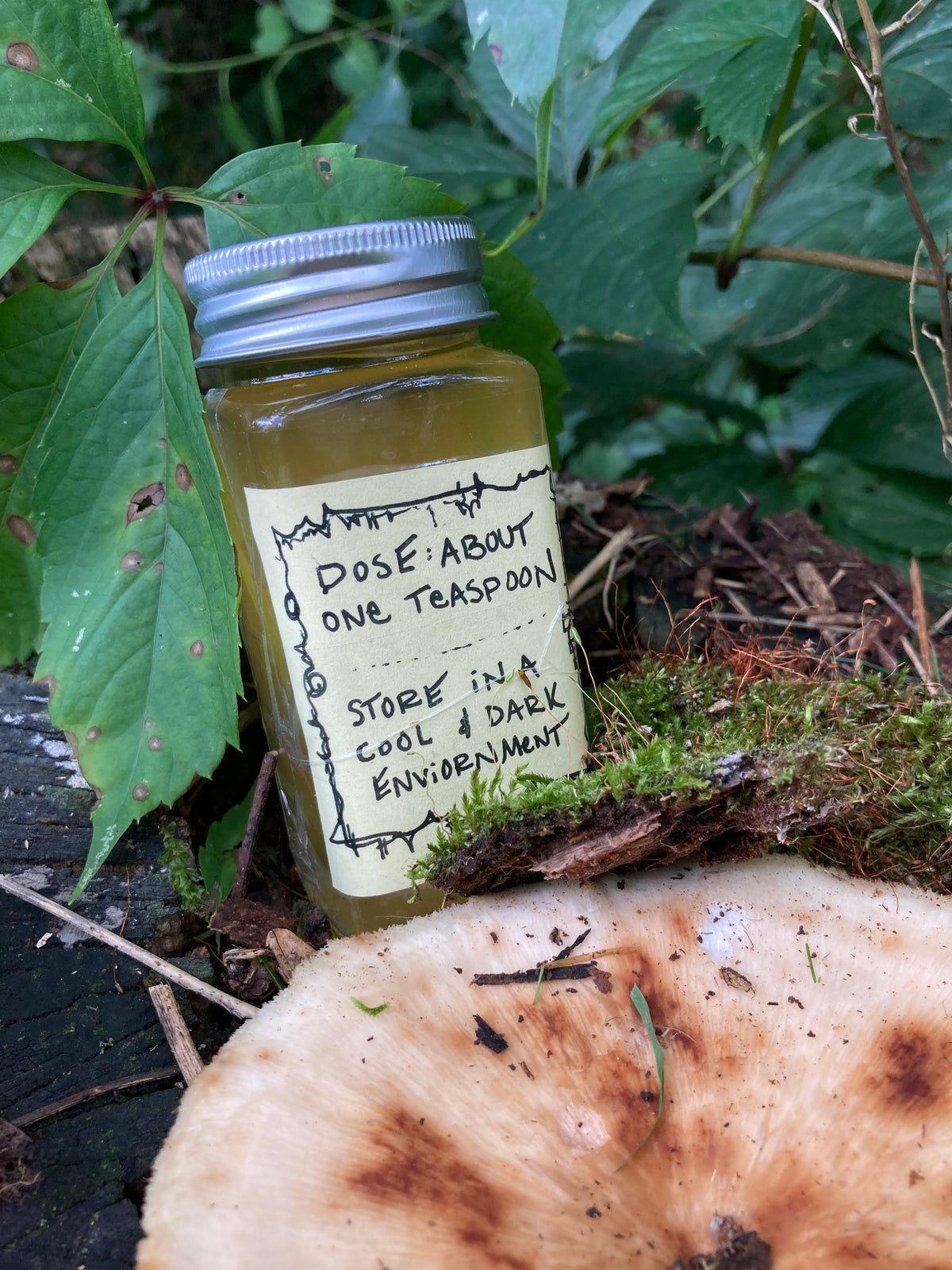 wild turkey tail mushroom tincture
