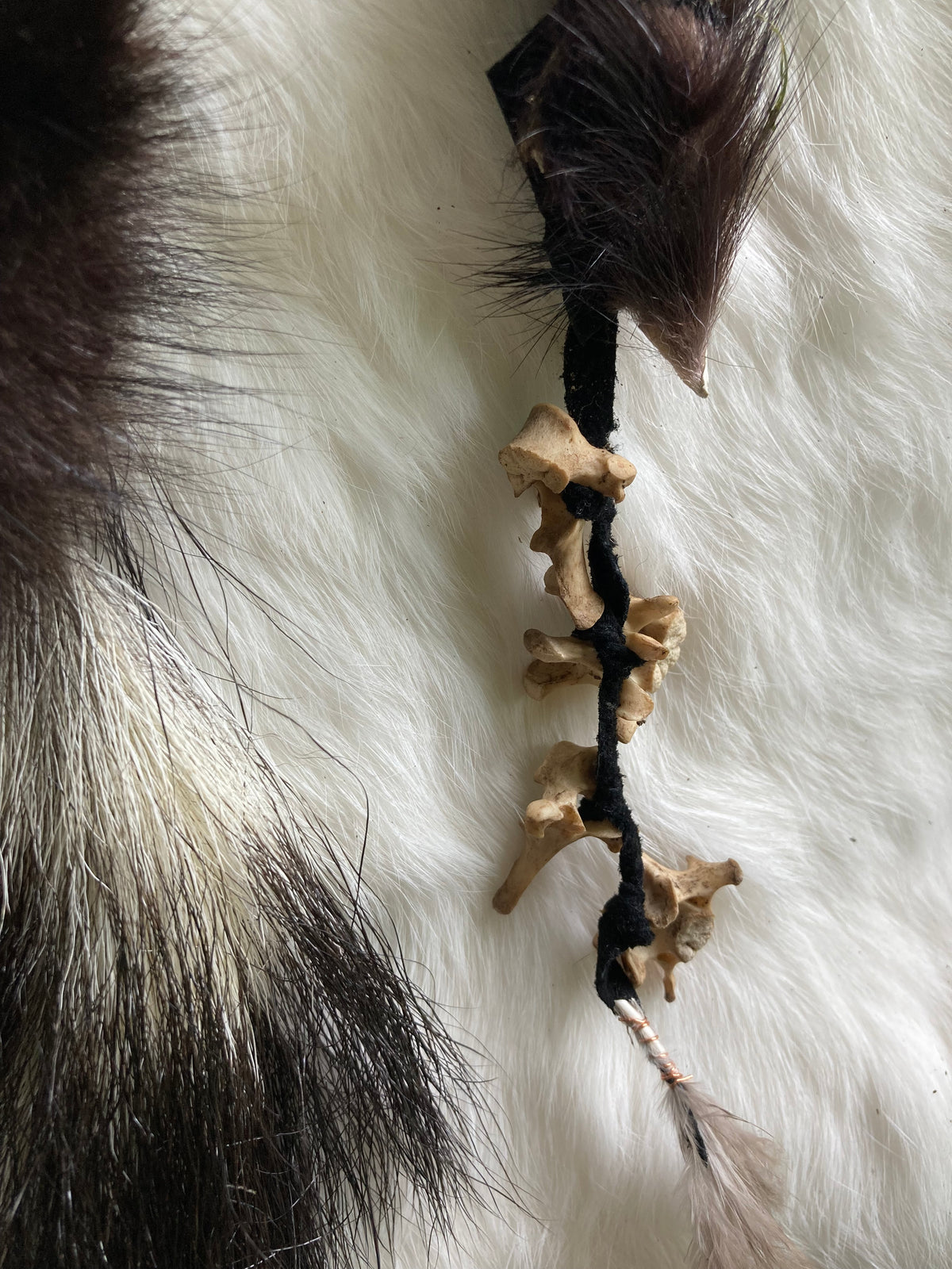 skunk tail & vertebrae keychains