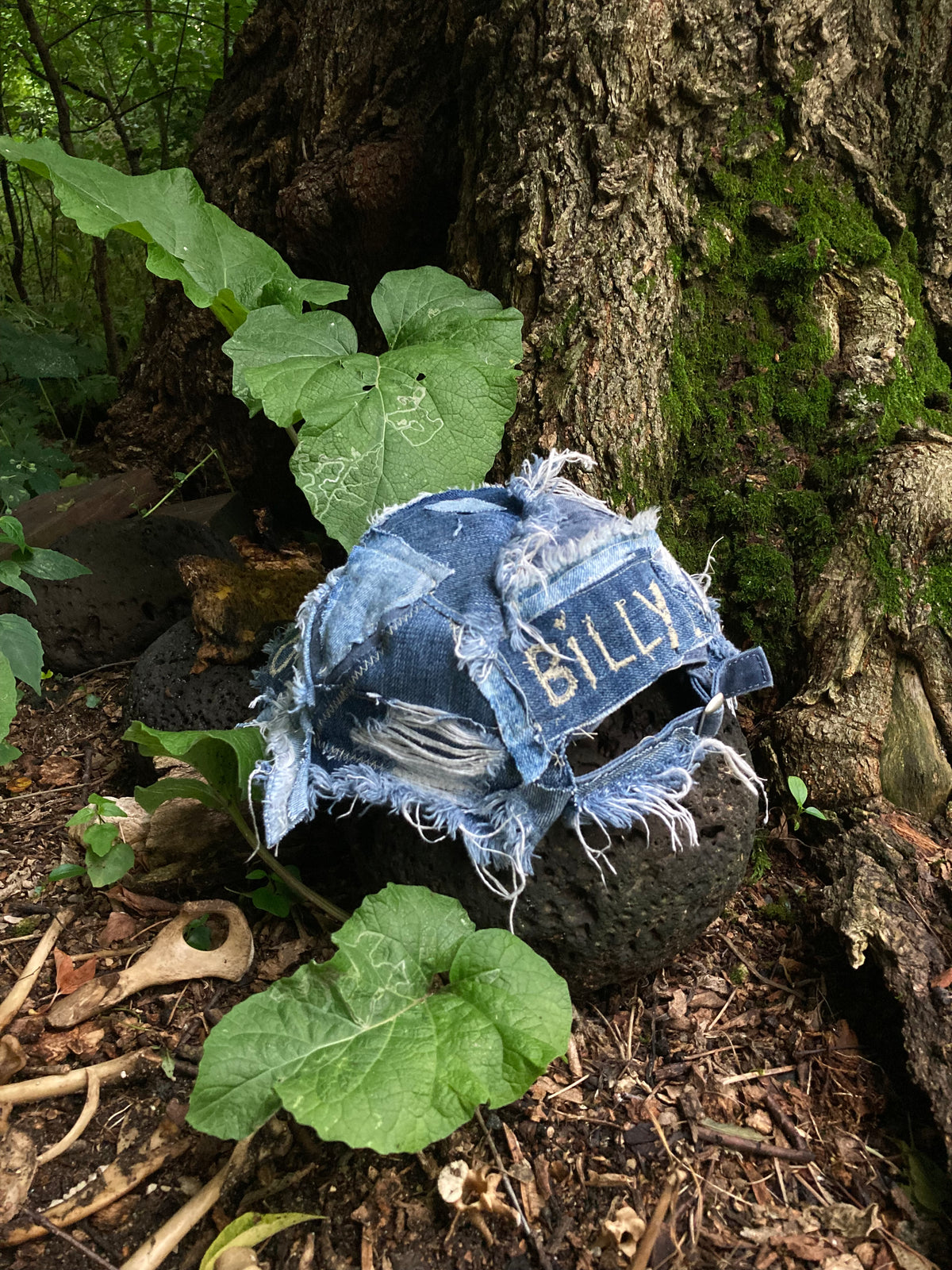 denim cap w/ embroidery