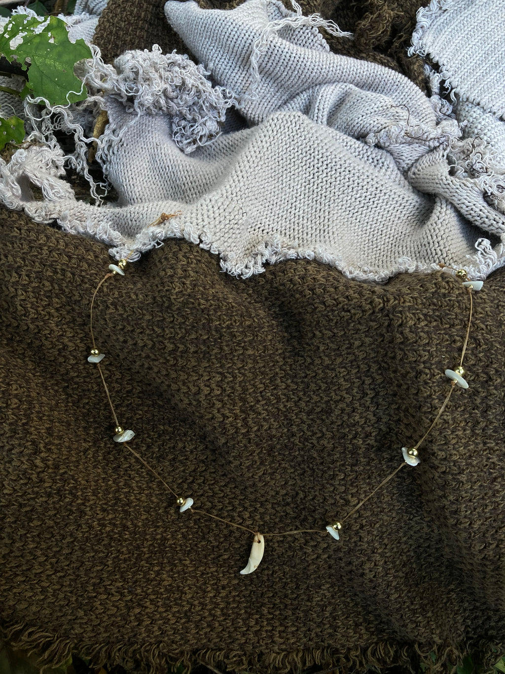 rakoon tooth necklace
