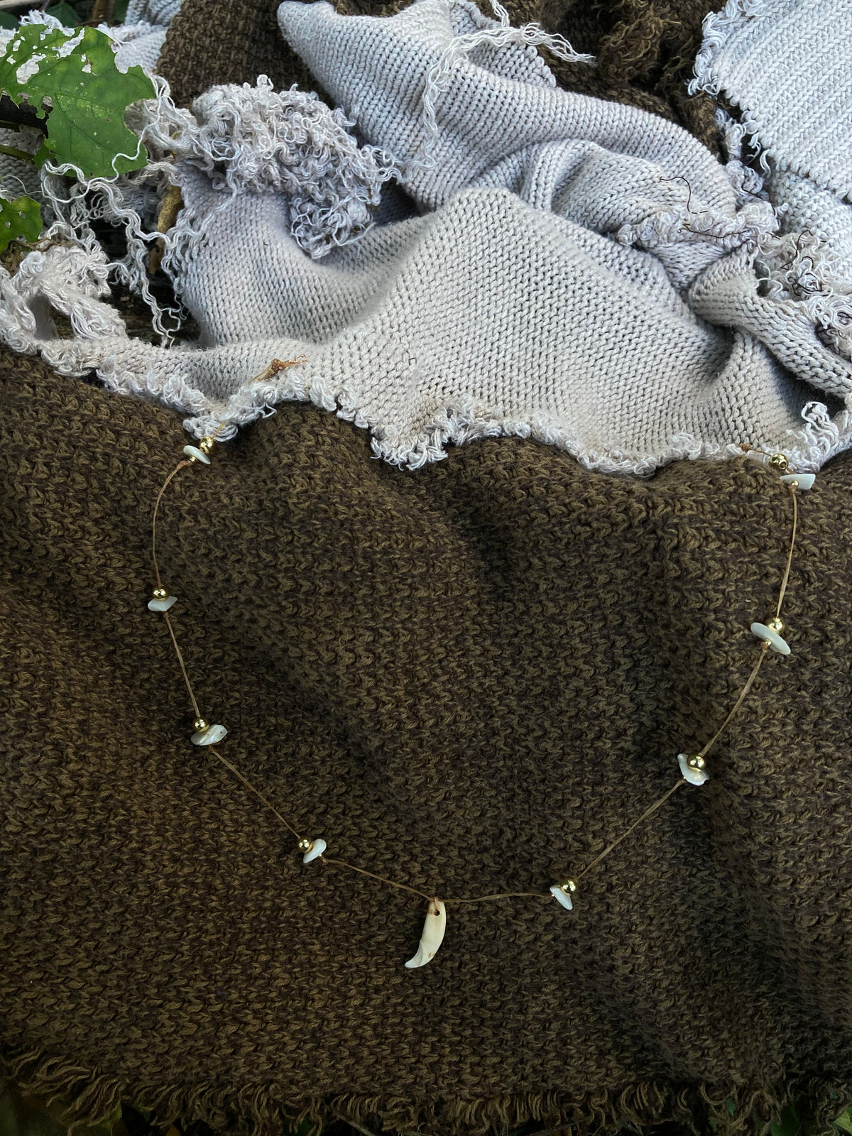 rakoon tooth necklace