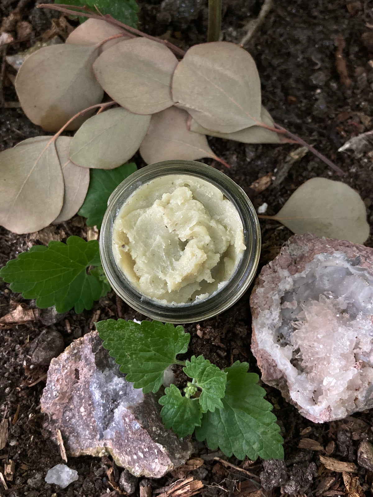 wild catnip & eucalyptus skincare salve