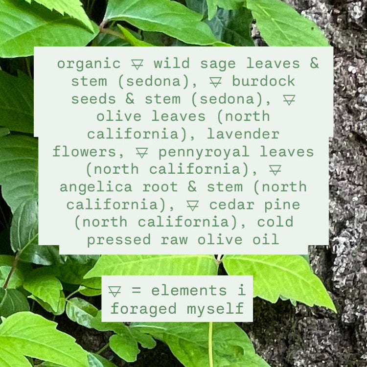 sensual perfume oil • wild harvested herbal extractions