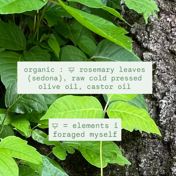rosemary & calendula perfume / hair + nail growth serum