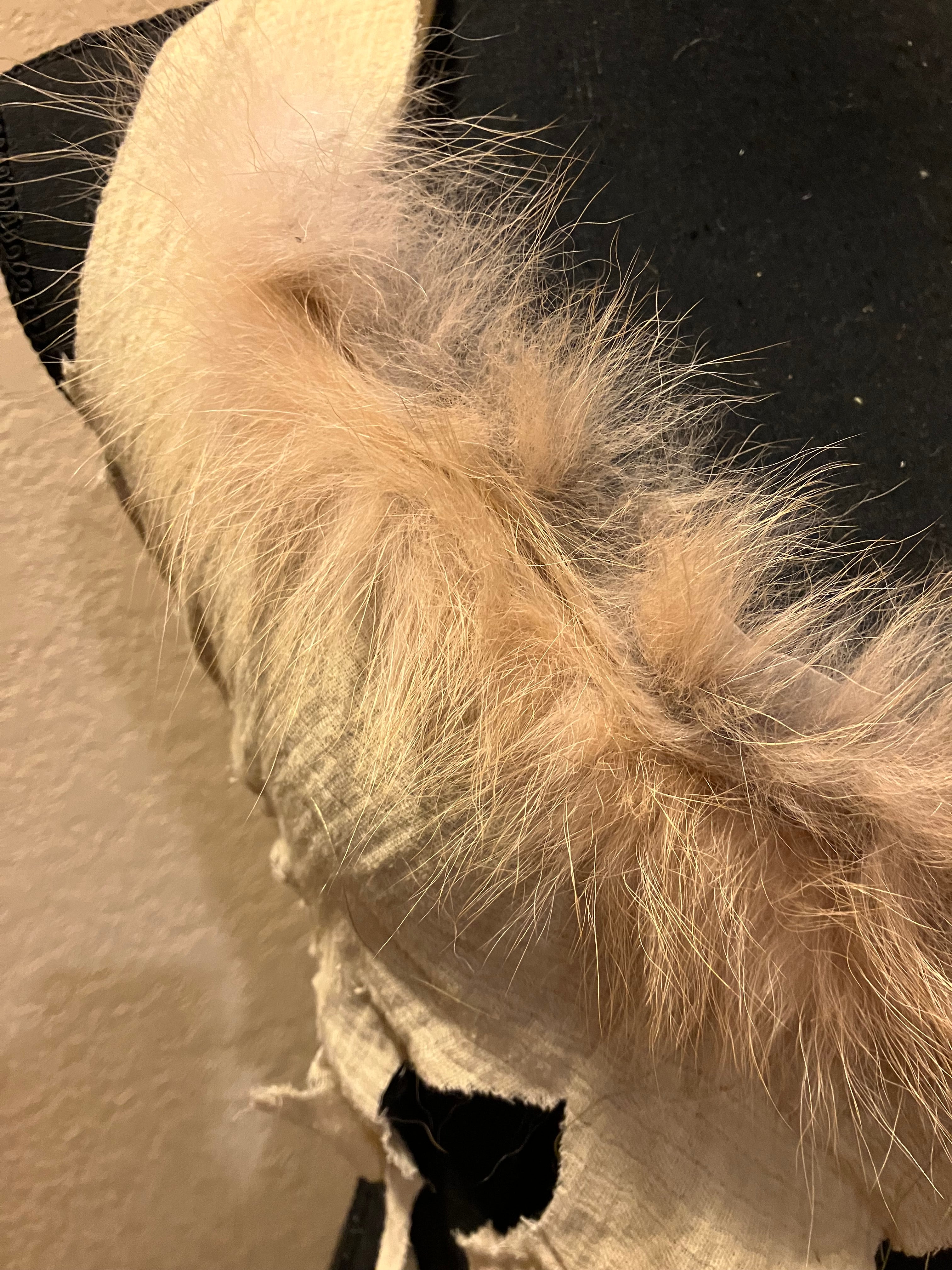 cayote fur versatile linen top