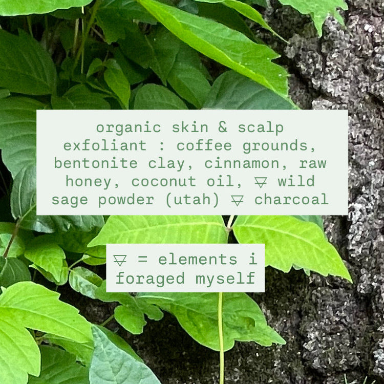 deep cleanse coffee, cinnamon & wild sage exfoliant