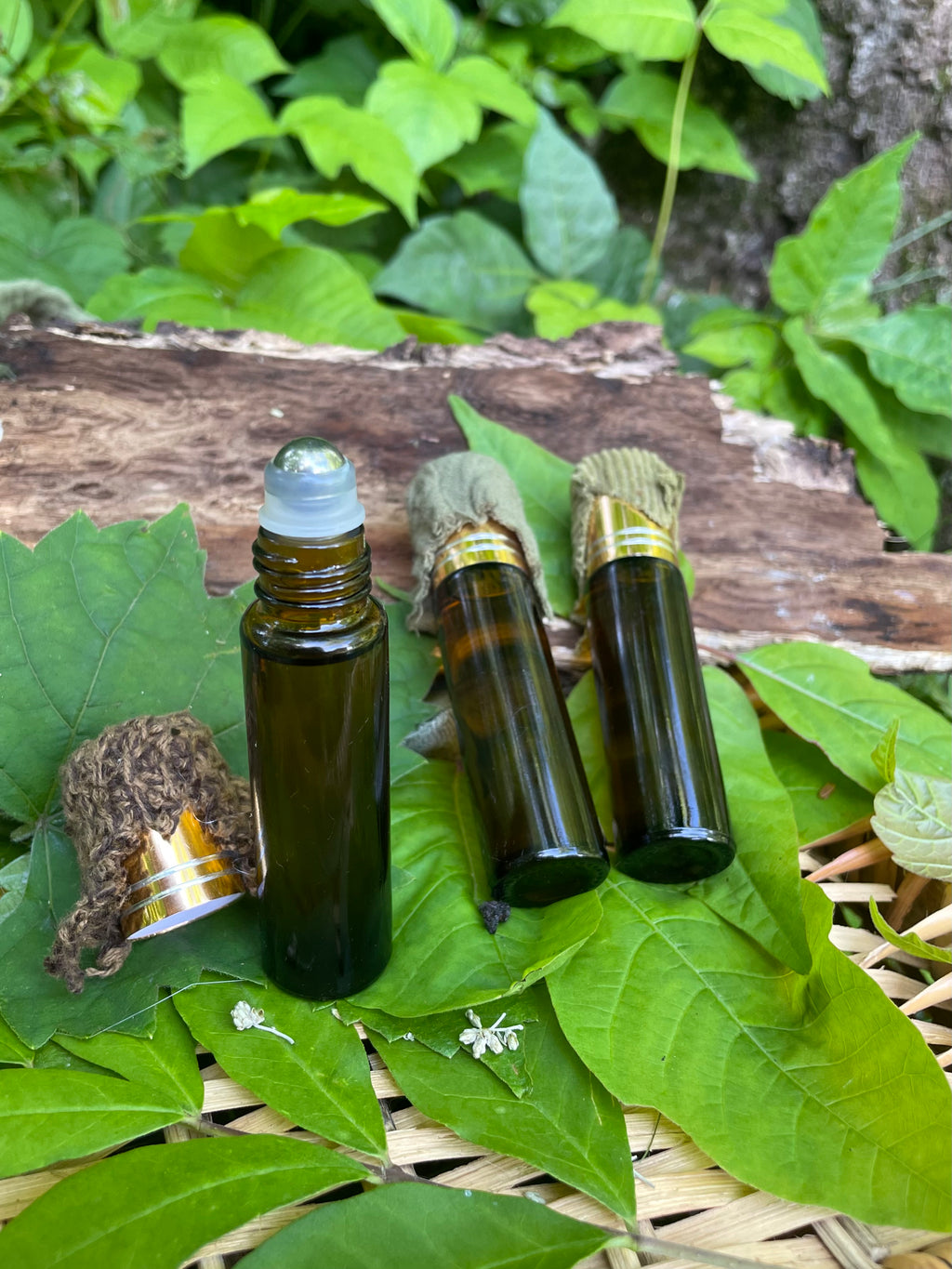 sensual perfume oil • wild harvested herbal extractions