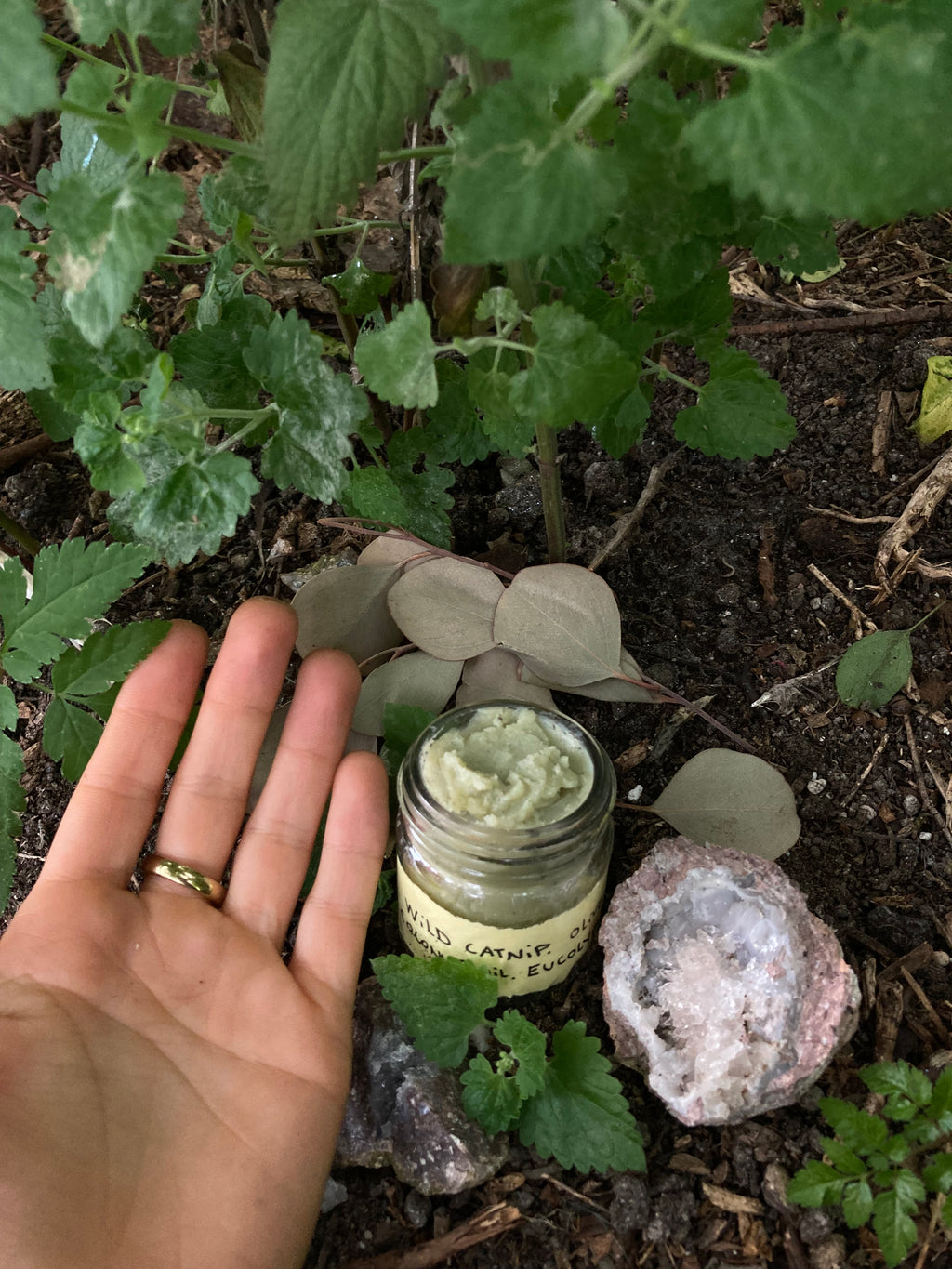wild catnip & eucalyptus skincare salve